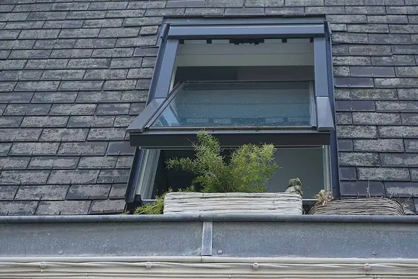 Open window with potted plants on a roof