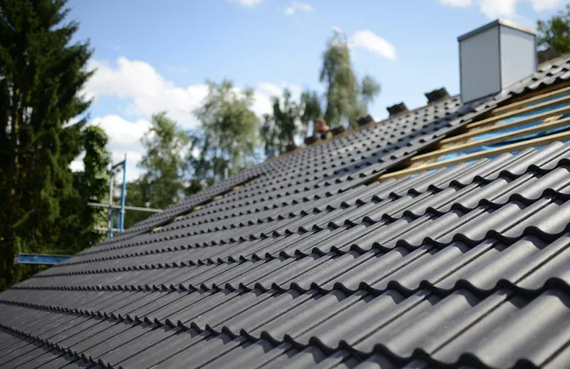 Bergen Roof with dark tiles, trees, and blue sky