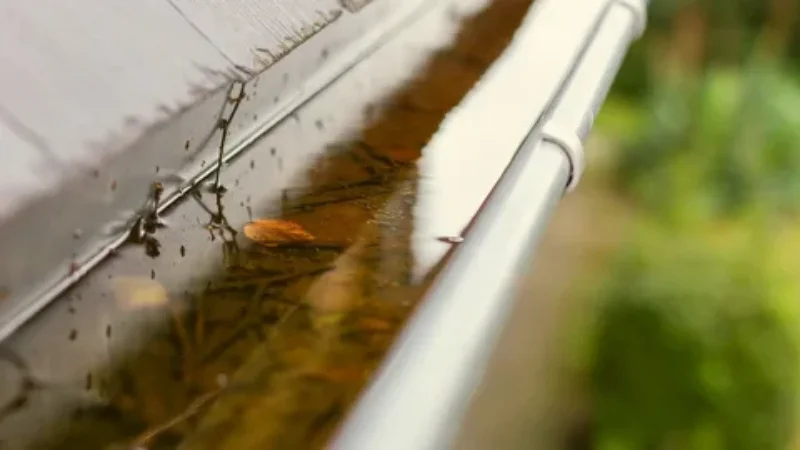 Can Clogged Gutters Really Cause Roof Leaks? How Blocked Gutters Lead to Roof Leaks
