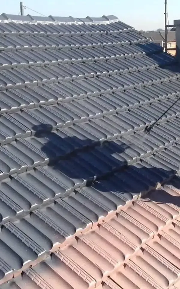 A roof with interlocking tiles