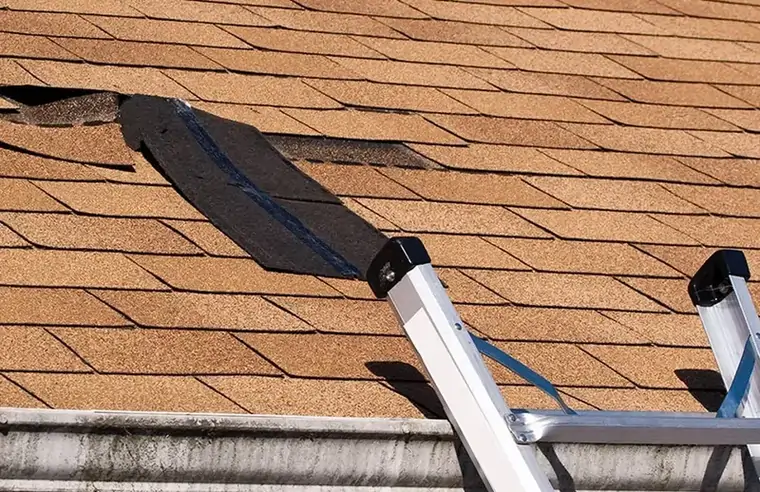 Damaged roof shingles with a ladder nearby