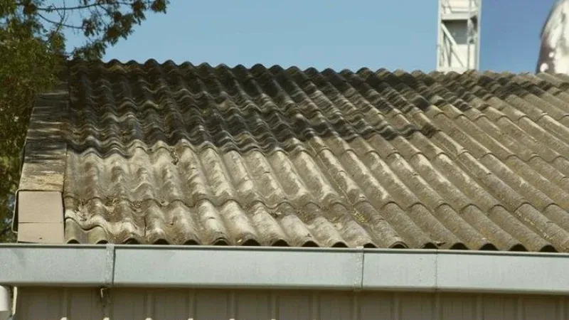 Does the insurance cover asbestos roof leaks