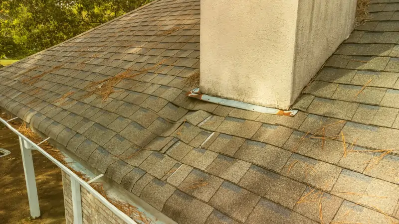 Signs Your Concrete Roof Is Leaking