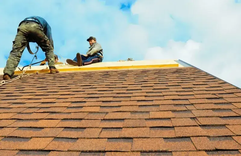 Two workers on a roof, brown shingles